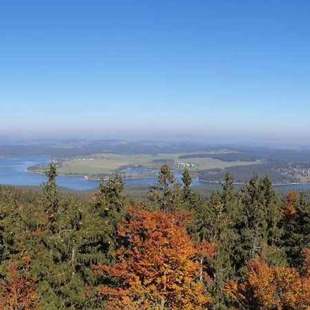 Lipno Nad Vltavou - Apartman 23 - Wifi, Parking, Netflix Eksteriør billede