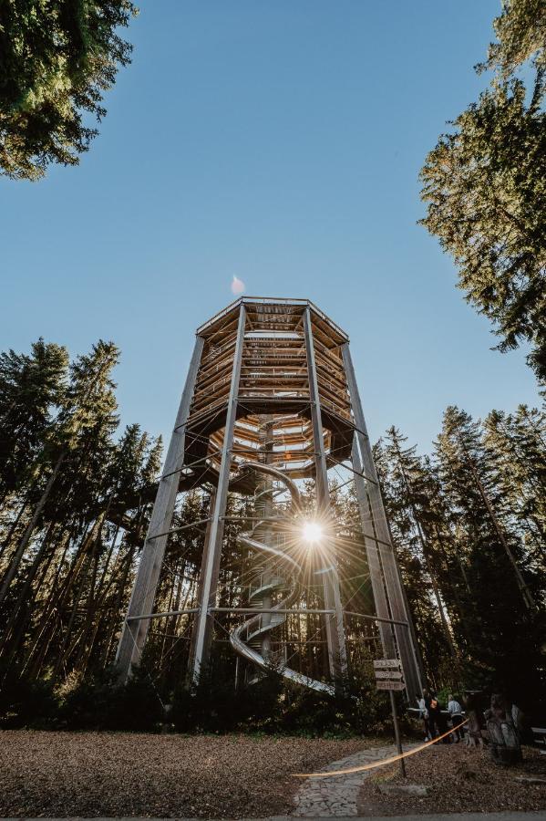 Lipno Nad Vltavou - Apartman 23 - Wifi, Parking, Netflix Eksteriør billede