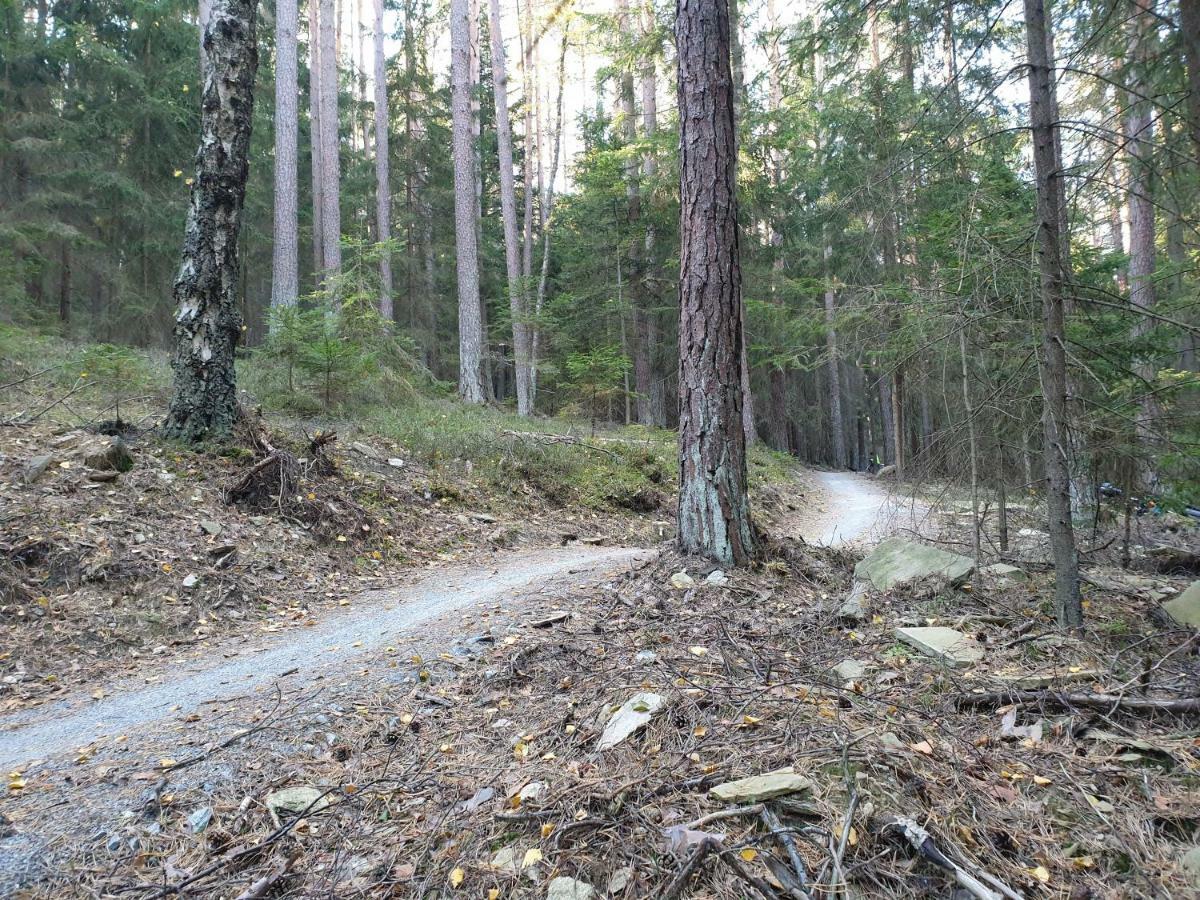 Lipno Nad Vltavou - Apartman 23 - Wifi, Parking, Netflix Eksteriør billede