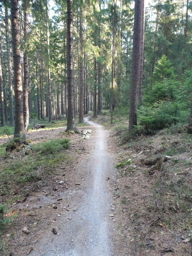 Lipno Nad Vltavou - Apartman 23 - Wifi, Parking, Netflix Eksteriør billede
