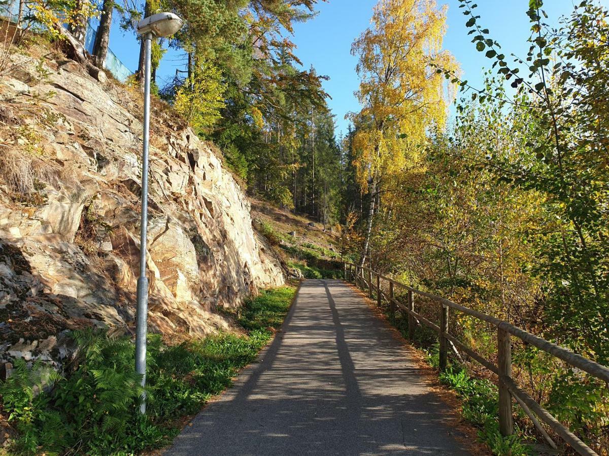 Lipno Nad Vltavou - Apartman 23 - Wifi, Parking, Netflix Eksteriør billede