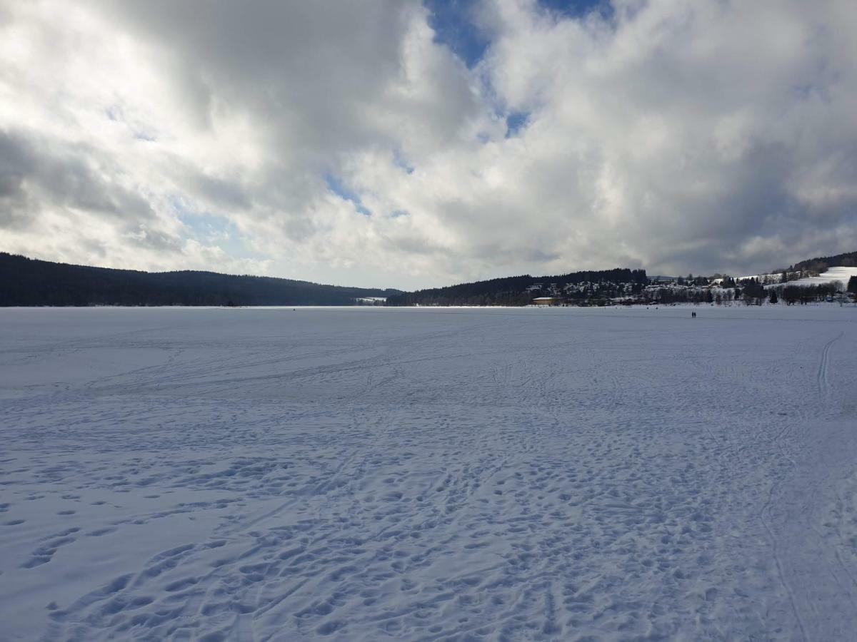 Lipno Nad Vltavou - Apartman 23 - Wifi, Parking, Netflix Eksteriør billede